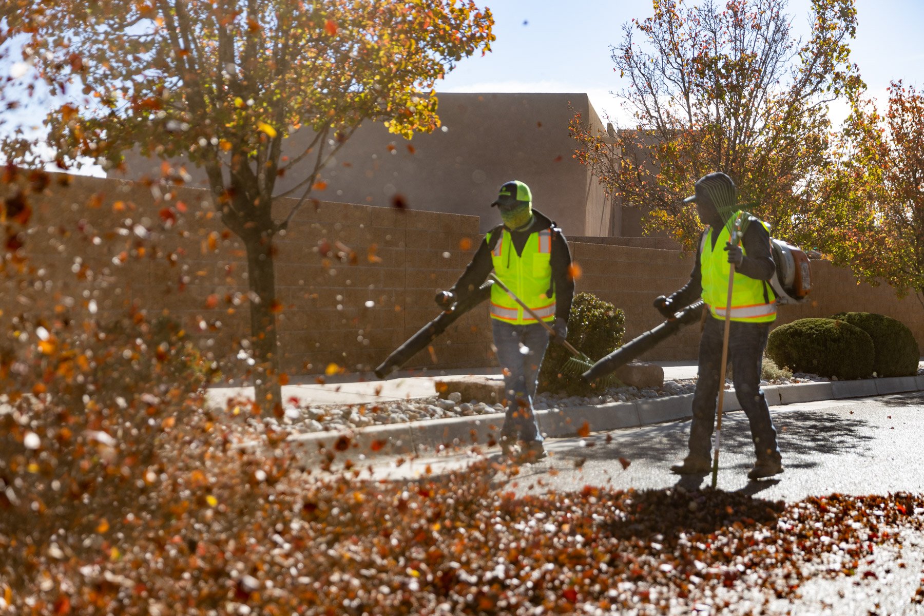 Commercial maintenance leaf blowing 2
